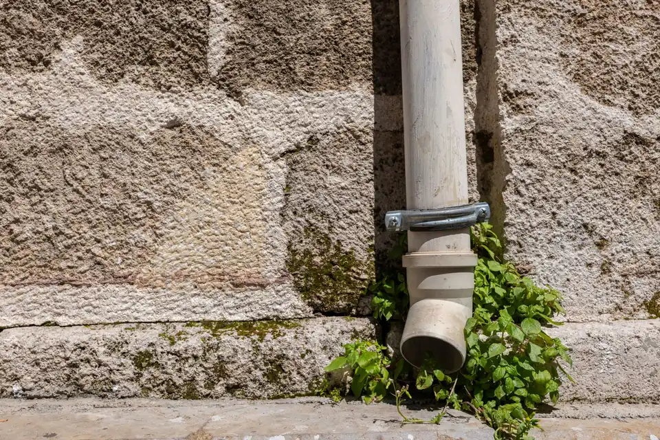 Pied d'un tuyau de descente d'eau pluviale contre un mur en pierre
