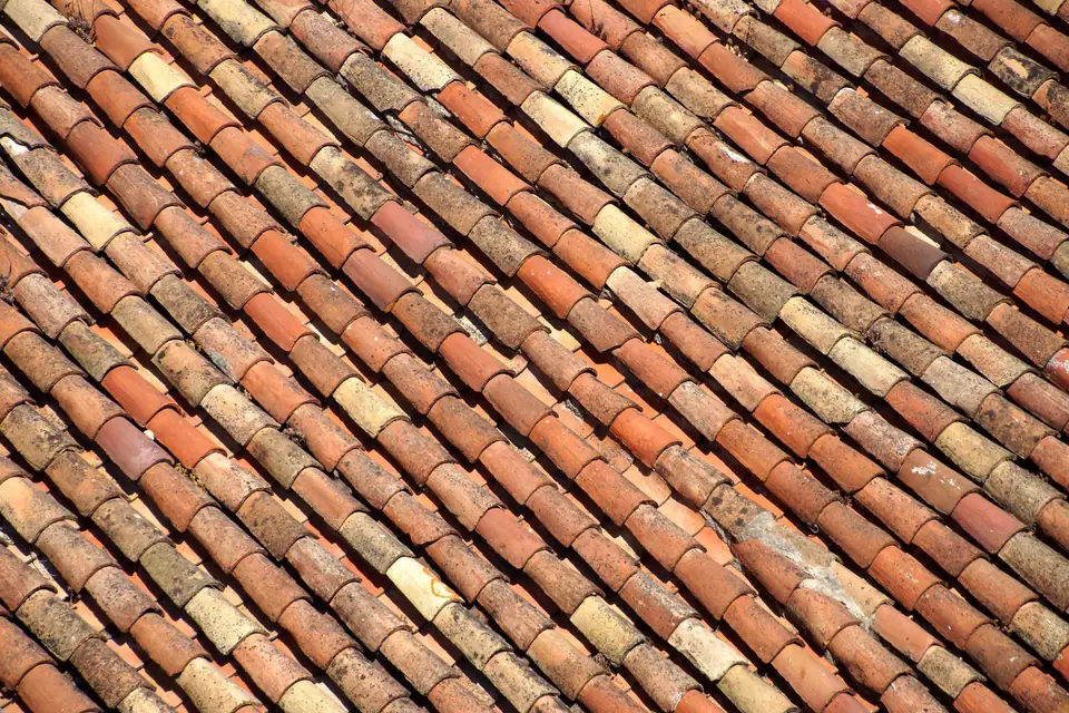 Tuiles canal anciennes de teintes variées sur un versant de toiture